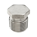 HEXAGONAL HEAD PLUG -SS 316 CONN. 1/2" NPT-M