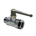 Robinet 2 voies à boisseau sphérique DN7, 1/4'' BSPP-M/F